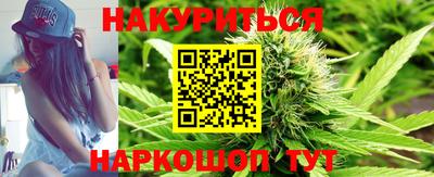 apvp Краснодар
