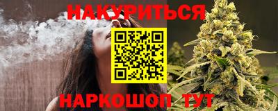 apvp Краснодар